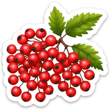 rowan/mountain ash berries, simple sticker