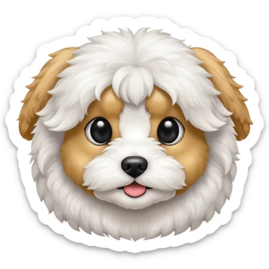 Maltipoo dog longer ears and black eyes sticker