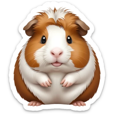 Meerschweinchen  sticker