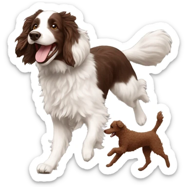Chocolate doodle, white Australian shepherd, black poodle, gsp running in a line sticker