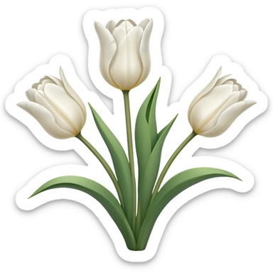 Tulipanes blancos sticker