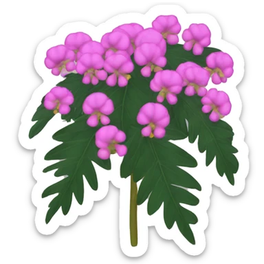 shame plant mimosa podia dormilona moriviví sticker