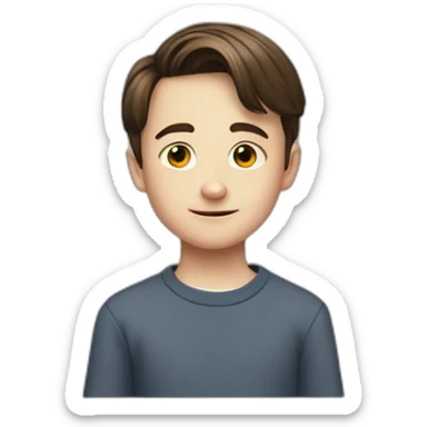 Noah Schnapp sticker