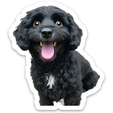 happy havapoo black coat sticker