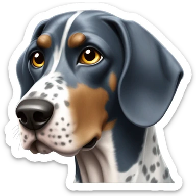 Blue-tick coonhound pointer mix sticker