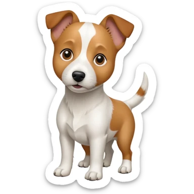 a full body white jack russel looking dog the size of a kelpie with light brown ears and a light brown patch on one eye and a large snout sticker