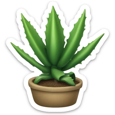 Agave plant sticker