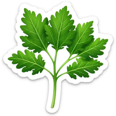 parsley leaf, single, bright green, serrated edges, natural curves, glossy, fine central vein, branching lobes, no stem bunch, no background, soft lighting, emoji scale sticker