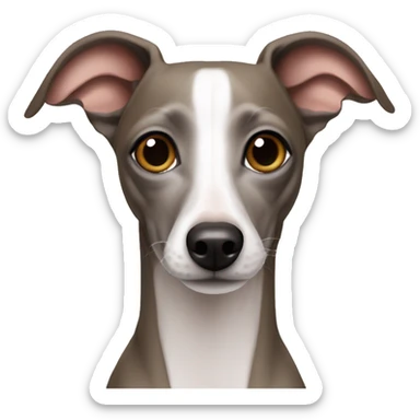 Italian greyhound sticker