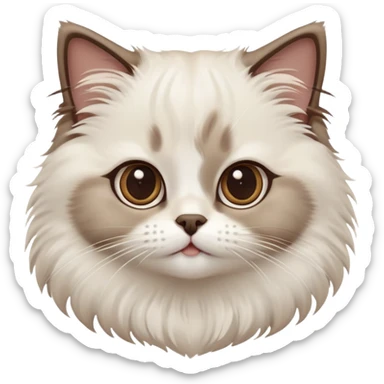 cinematic-adorable-big-eyed-fluffy-white brown-ragdoll-cat-portrait-emoji,-head-tilted-playfully-with-a-sweet-expression,-fluffy-brown seal colour with white-fur,-simplified-yet-irresistibly-cute-features-with-large,-expression, sticker