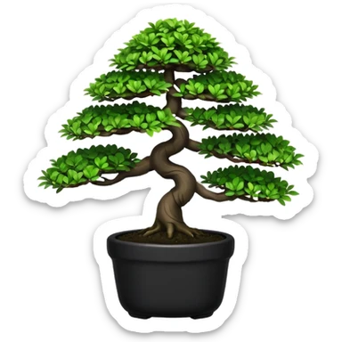 Bonsai Tree – Miniature tree in small pot, trimmed carefully, black pot sticker