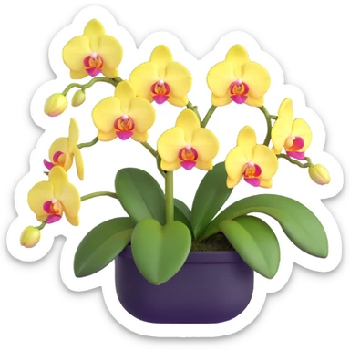 Realistic phalaenopsis orchid with delicate blooms and prominent large green leaves clearly visible sticker
