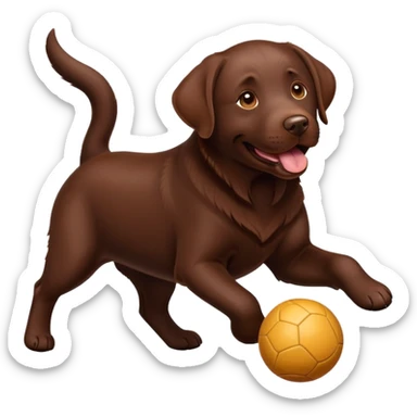 Chocolate labrador plays with a ball sticker