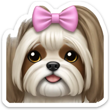 brunette girl hugging cream long hair shih tzu with bow on head  sticker