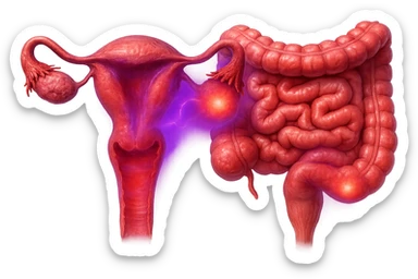 utero umano anatomico iperrealistico e intestino umano anatomico iperrealistico hanno in comune il dolore e l'infiammazione, rendi bene il collegamento tra i due organi doloranti, falla iperrealistica, non disegnata, fai colori che si adattano a questo viola #971ef1 sticker