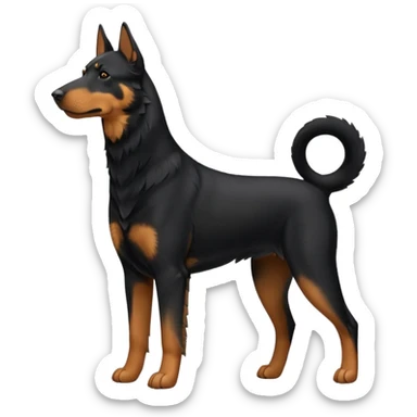 Beauceron sticker
