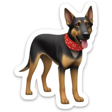 65% Coonhound 35% German Shepherd mix dog wearing small plain red bandana walking left sticker