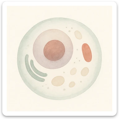 a human cell, realistic, with detailed textures and lighting, watercolor art style, soft colors, delicate brush strokes sticker
