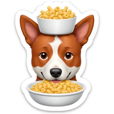 Red heeler dog with white on his snoot. Has a bowl of macaroni on his head sticker