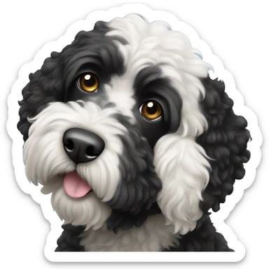 completely black with white tiny spot on the top of head portuguese water dog sticker