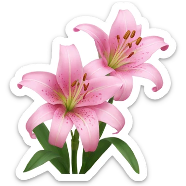 pink lily’s  sticker