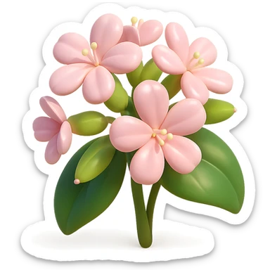 3D iOS-style cartoon soapwort (Saponaria) flowers with extra volumetric and rounded shapes, exaggerated cute pale pink petals, big green leaves, playful proportions, soft lighting, glossy effect, no background, no face or smile, in GPT Image style sticker