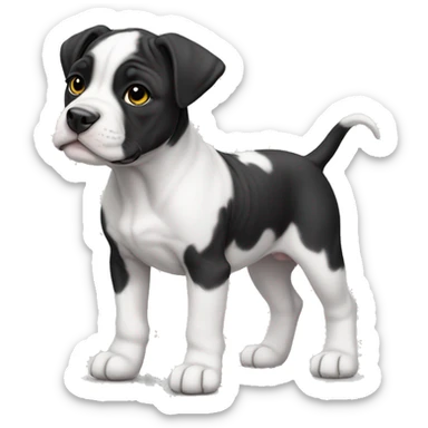 Black and white English staffordshire puppy full body sticker