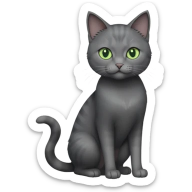 full body view of beautiful female solid dark grey cat with green eyes, grey face, white toes and white patch on chest sticker