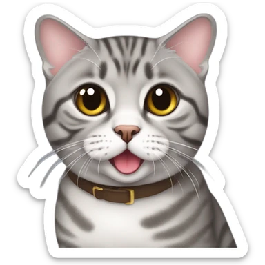a Scottish fold grey tabby cat with a tongue sticking out of its mouth halfway sticker