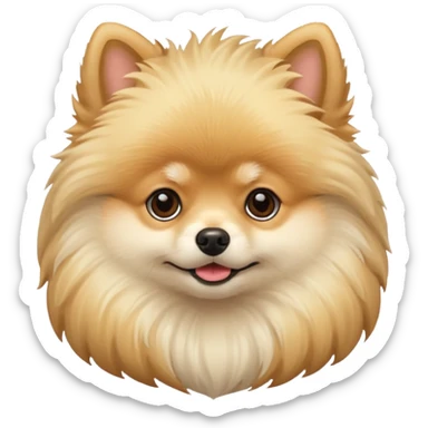 Pomeranian cream color sticker