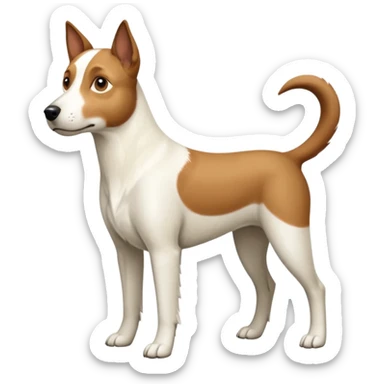 a full body large white parson russell looking dog the size of a kelpie with light brown flapped down ears and a light brown patch on one eye and a large snout sticker