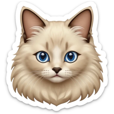 Ragdoll cat, with dark nose/center face area with surrounding beige fur, bright blue eyes sticker