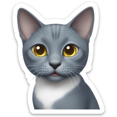 Russian blue cat with white chest and white paws asking for food sticker