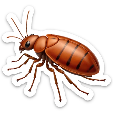 bedbug insect sticker