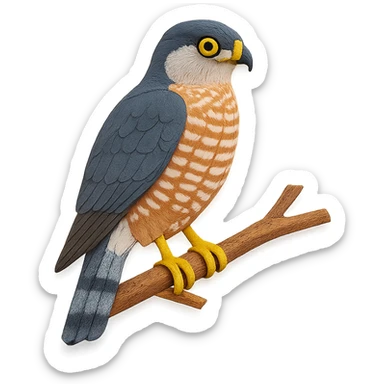very detailed Cooper’s Hawk perched on a tree branch, intricate cut paper textures, slate gray back, reddish barring on chest, yellow eyes, realistic markings sticker