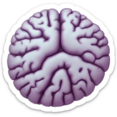 Brain nerve sticker