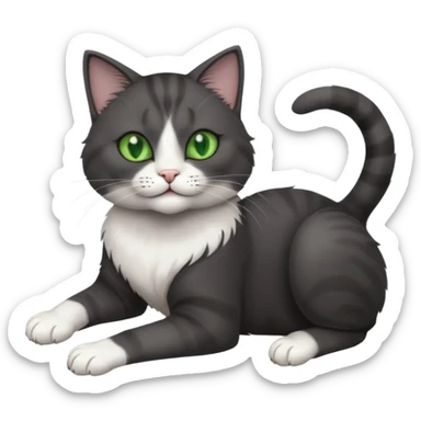 beautiful female solid dark grey cat with green eyes, white toes/paws and white patch on her chest rolling upside down sticker