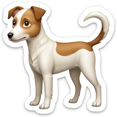 a full body large white parson russell looking dog the size of a kelpie with light brown flapped down ears and a light brown patch on one eye and a large snout sticker