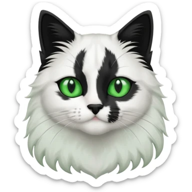 black and white long hair cat. green eyes. black nose. black splotch in the shape of a star near nose (on the right side). white chest. sticker