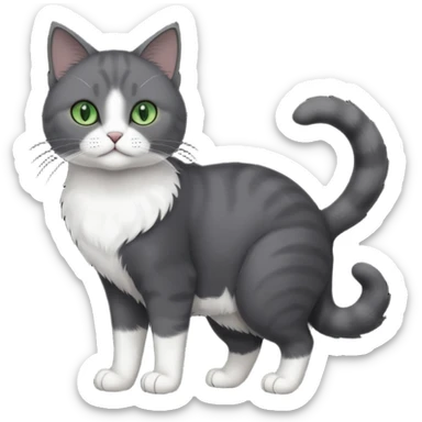 full body view of beautiful female solid dark grey cat with green eyes, white toes/paws and white patch on her chest sticker