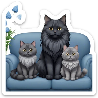 A large black smoke Maine Coon cat with long grey ear tufts and a fluffy grey ruff, sitting next to a chubby British Shorthair cat in blue color with plush fur, both sitting comfortably on a sofa. Beautiful room background with flowers and soft lighting. Transparent background. sticker