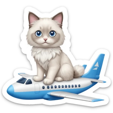 Cute ragdoll cat on an airplane. Should sit on top of the plane, cat is way bigger than airplane sticker