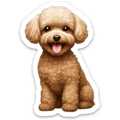 Brown toy poodle and maltese dog smiling sticker