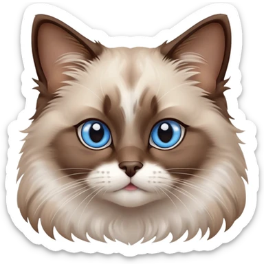 cinematic-fluffy-brown-ragdoll-cat-portrait-emoji,-head-tilted-cutely-with-big,-sparkling-blue-eyes,-soft-brown-and white-colored-fur-with-darker-points-on-the-ears,-face,-and-paws,-simplified-yet-irresistibly-adorable-features, sticker
