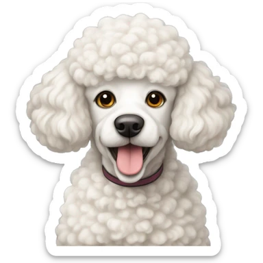 White French poodle mixed with a sheep sticker