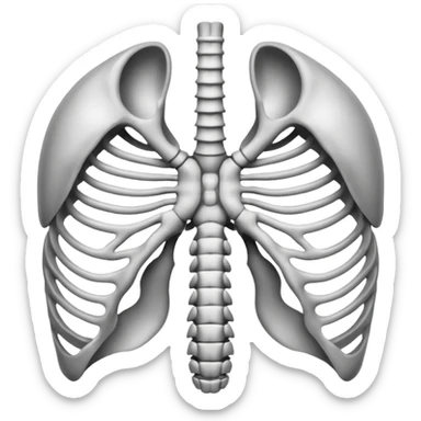 Ribcage X ray sticker