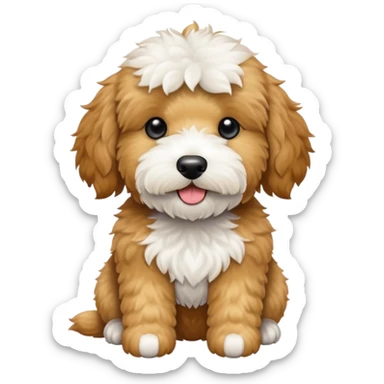 A miniature golden doodle with a white tummy patch and a white chin patch. sticker