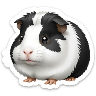 Black and white guinea pig  sticker
