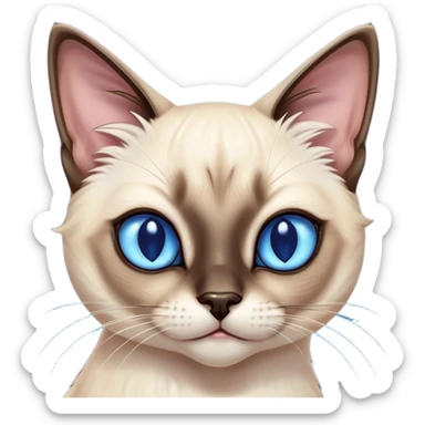 Cinematic Comical Siamese Cat Portrait Emoji, Head tilted dramatically with an exaggeratedly shocked or offended expression, sleek cream-colored fur with dark points on the ears, face, paws, and tail, wide piercing sapphire-blue eyes filled with exaggerated disbelief, Simplified yet hilariously expressive features, highly detailed, glowing with a slightly sassy glow, high shine, dramatic yet playful, stylized with an air of attitude, bright and endearing, soft glowing outline, capturing the essence of a sassy and over-the-top feline, so meme-worthy it feels like it could side-eye its way into internet fame instantly! sticker