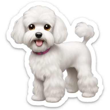 Maltese poodle sticker